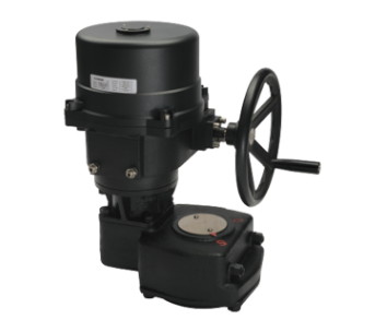 蝶閥電動執(zhí)行器電機