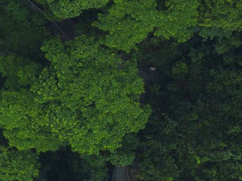 部分回轉(zhuǎn)電動執(zhí)行器價格