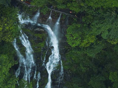 回轉(zhuǎn)型電動執(zhí)行器