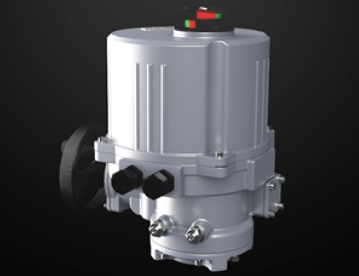 供應(yīng)調(diào)節(jié)型電動執(zhí)行器公司