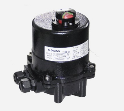 閥門電動執(zhí)行器容易出現(xiàn)哪些故障問題