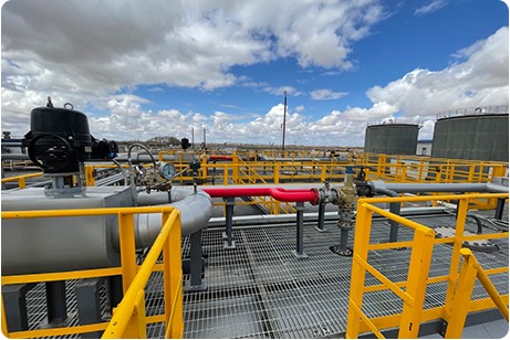 西達(dá)里亞集輸展