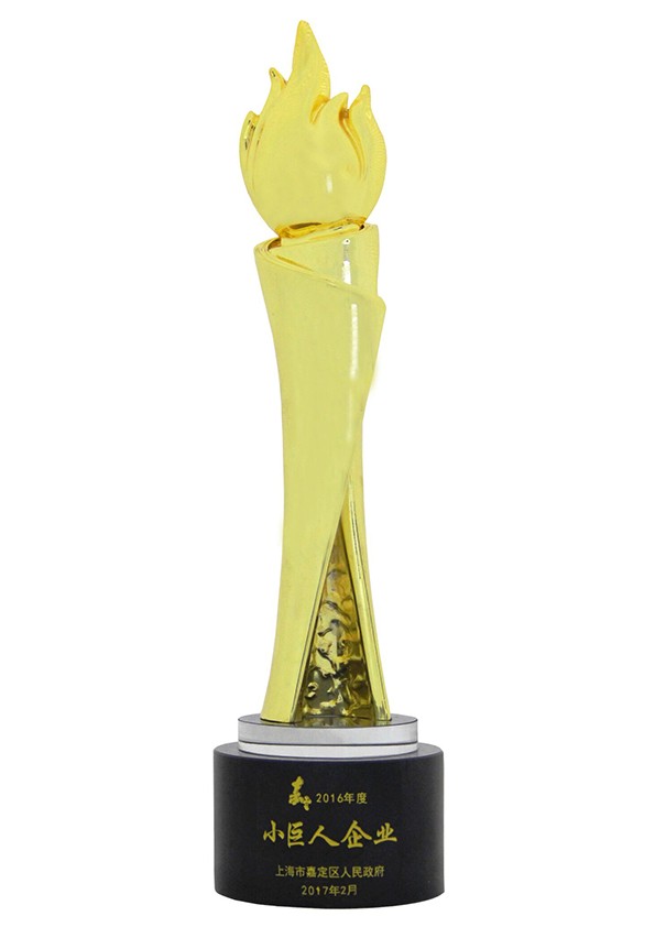2016年度上海市嘉定區(qū)小巨人企業(yè)