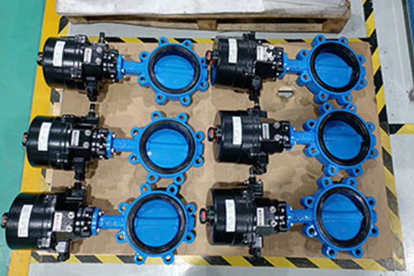 精小型電動執(zhí)行器